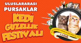 Pursaklar da Festival Başlıyor