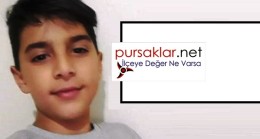 Pursaklar da çocuğa köpek saldırdı
