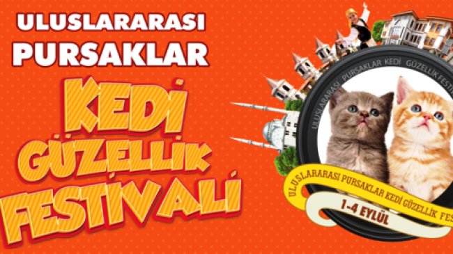 Pursaklar da Festival Başlıyor